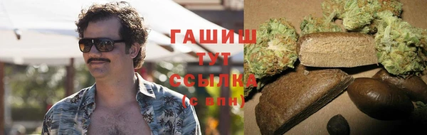 крисы Каменка