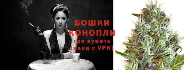 крисы Каменка