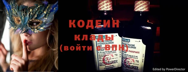 крисы Каменка