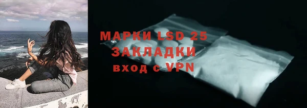 крисы Каменка