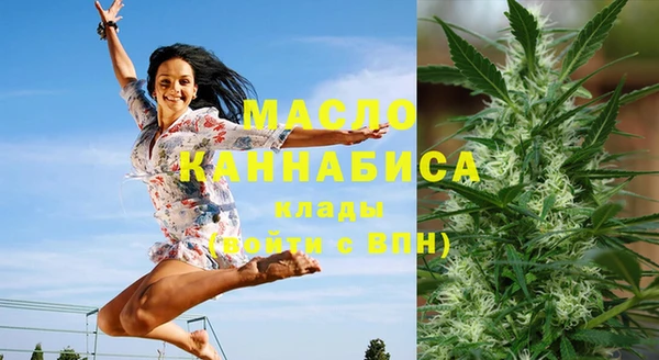 крисы Каменка