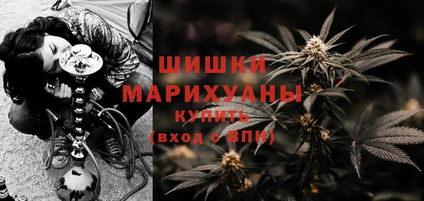 стафф Карпинск